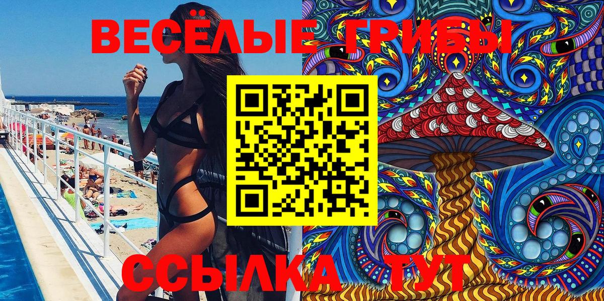 где купить наркоту  Вход с VPN  Псилоцибиновые грибы мицелий  Гусиноозёрск  Галлюциногенные грибы Magic Shrooms 