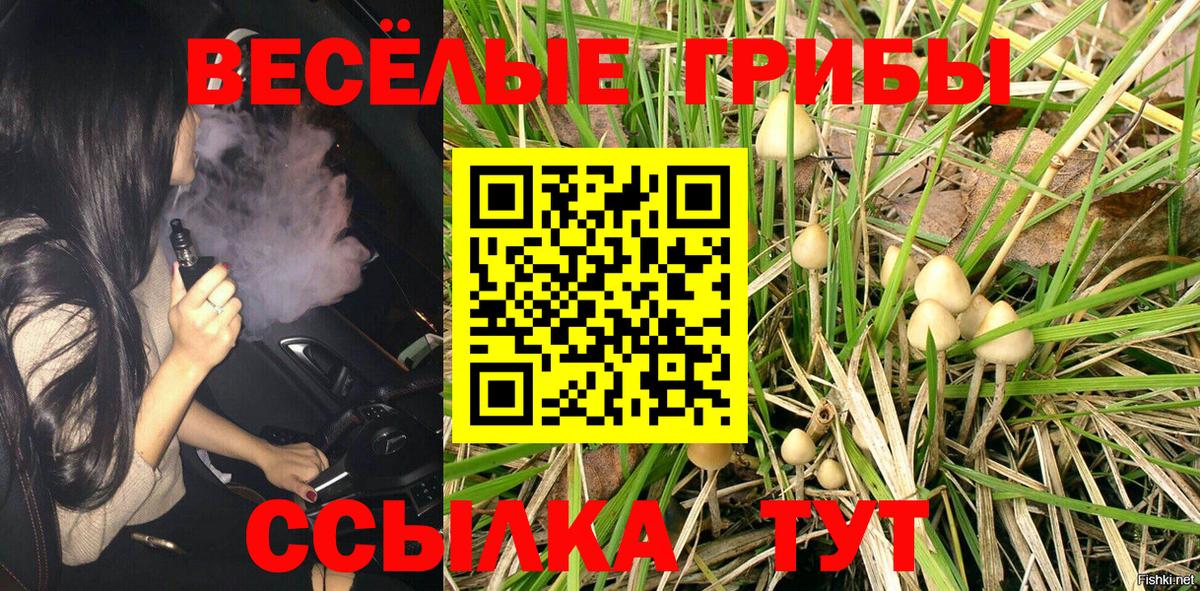 Псилоцибиновые грибы мицелий Гусиноозёрск